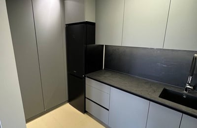 Аренда 2-комнатной квартиры, 55 м², район Савски Венац, Белград, Сербия
